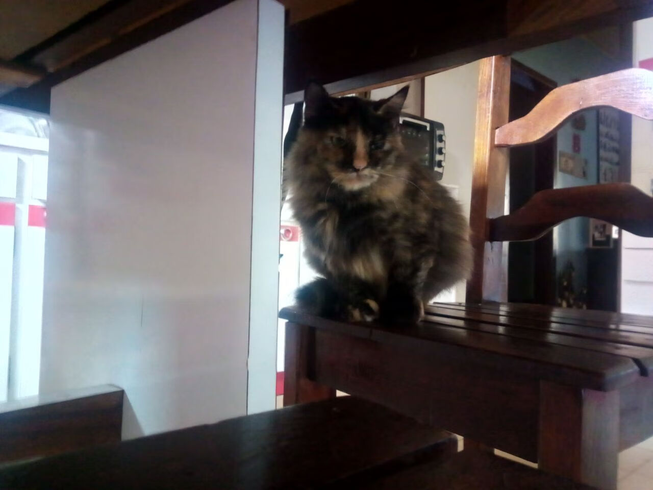 开云体育网站入口-WRC安全措施：保障车手安全的幕后故事，wtcr安全车