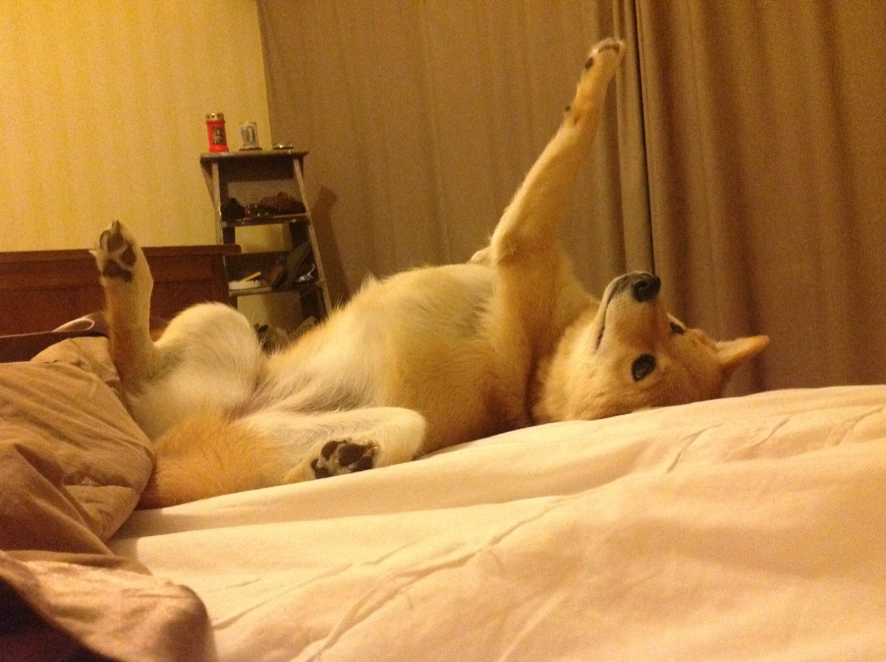 开云网页-史上“炸裂”逆转：那些不可能变成可能的奇迹瞬间，不可逆转的未来